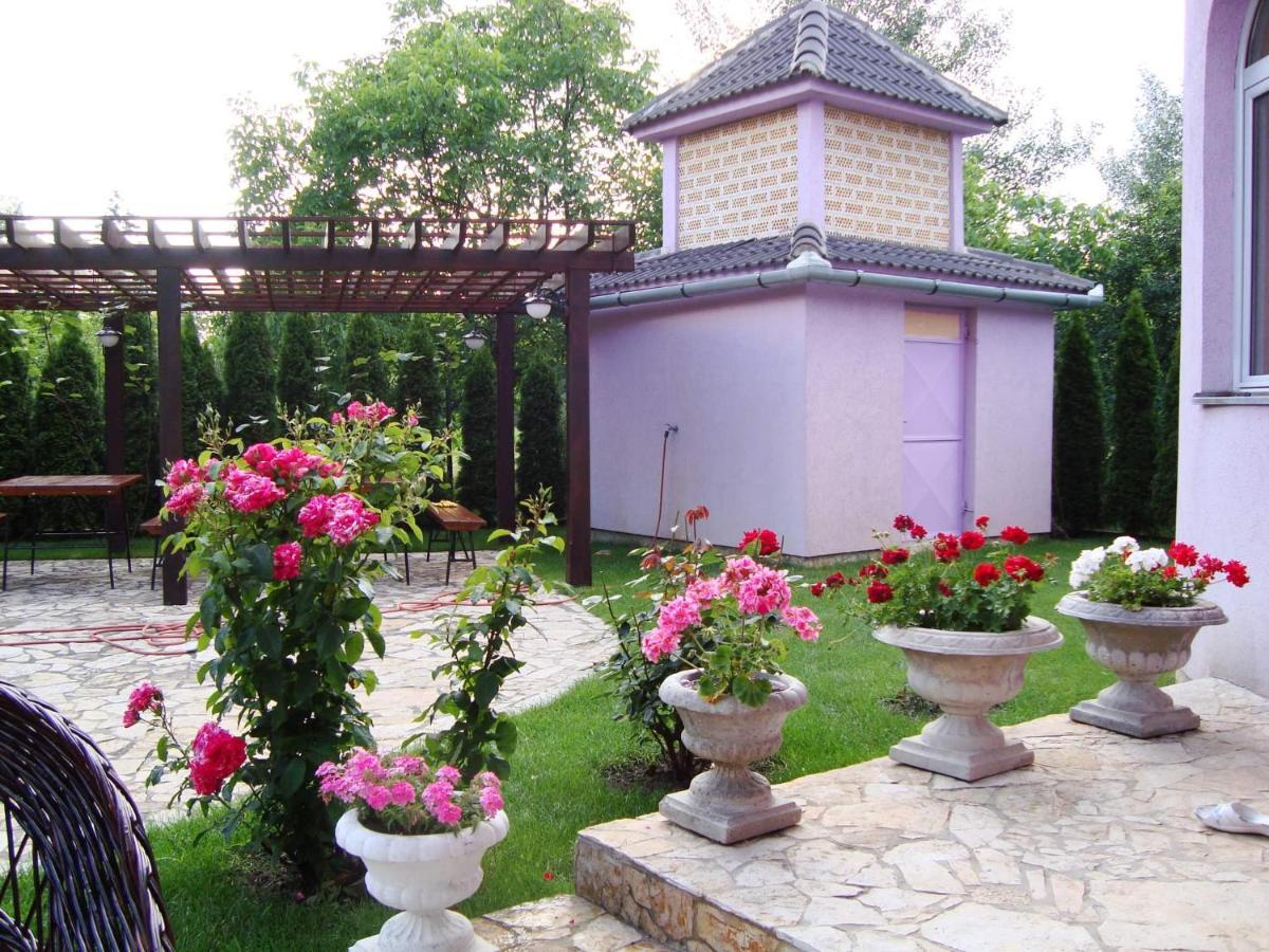 Vila Madams - Palic-Serbia Eksteriør bilde