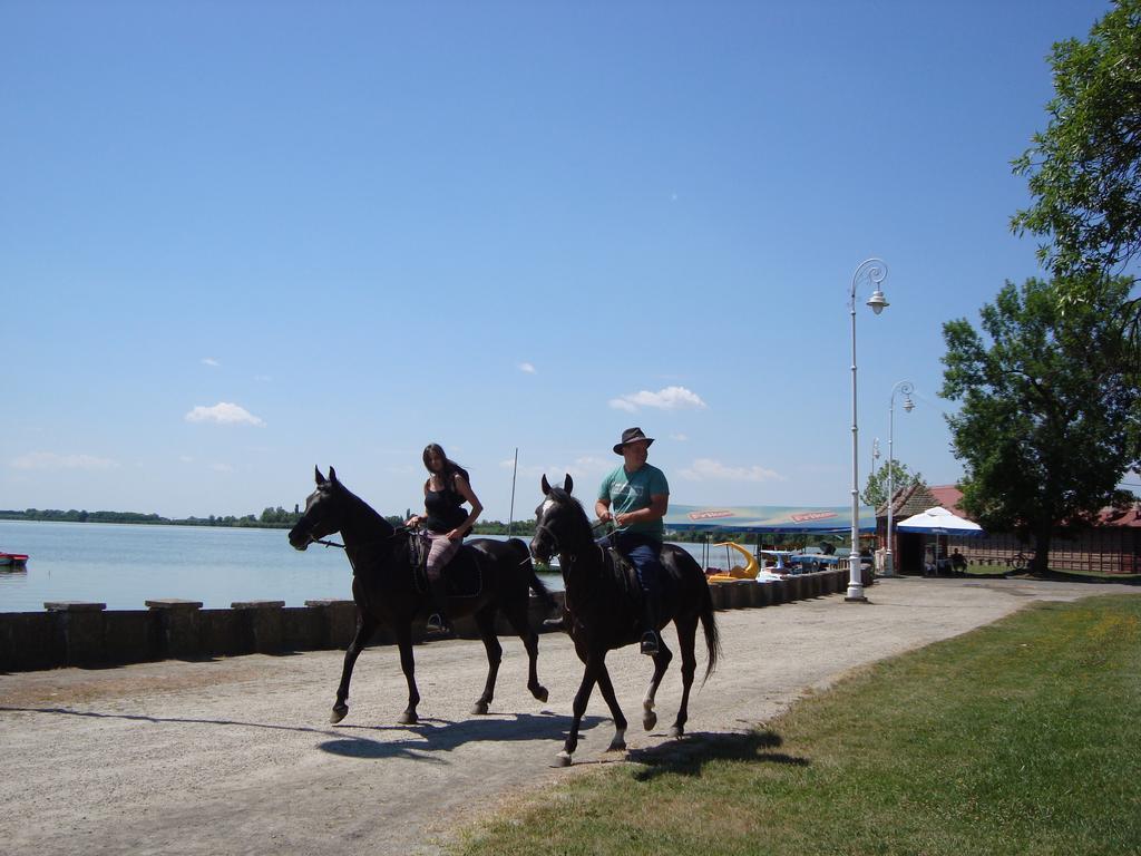 Vila Madams - Palic-Serbia Eksteriør bilde